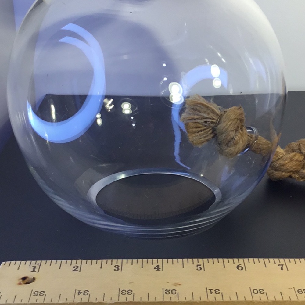 Large Hanging Globe Terrarium With Rope Hanger - Picture 15 of 16